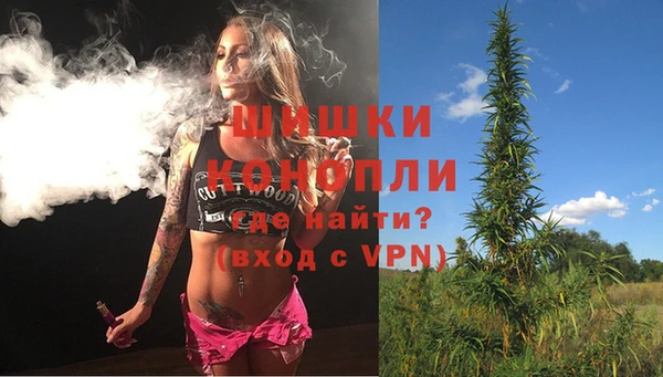 ГАЛЛЮЦИНОГЕННЫЕ ГРИБЫ Ладушкин