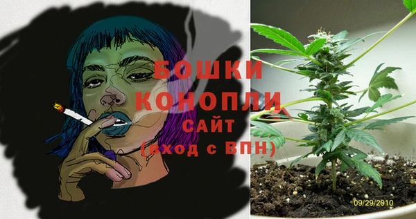 ГАЛЛЮЦИНОГЕННЫЕ ГРИБЫ Ладушкин