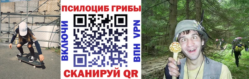 Псилоцибиновые грибы ЛСД Сусуман